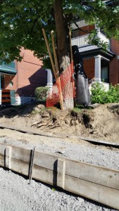 comp 20150728_170350